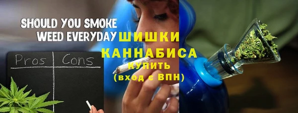 сатива Володарск