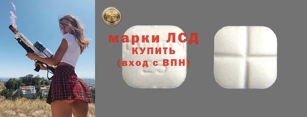 сатива Володарск
