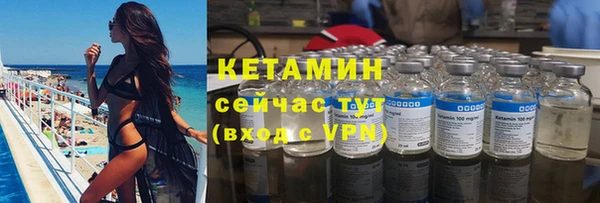 сатива Володарск