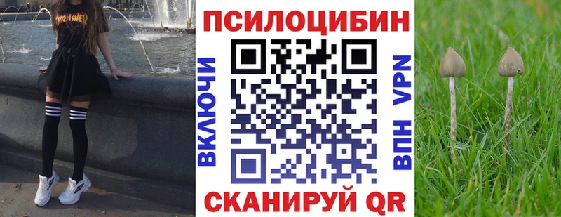 Псилоцибиновые грибы прущие грибы  Купить закладки  Зеленогорск 
